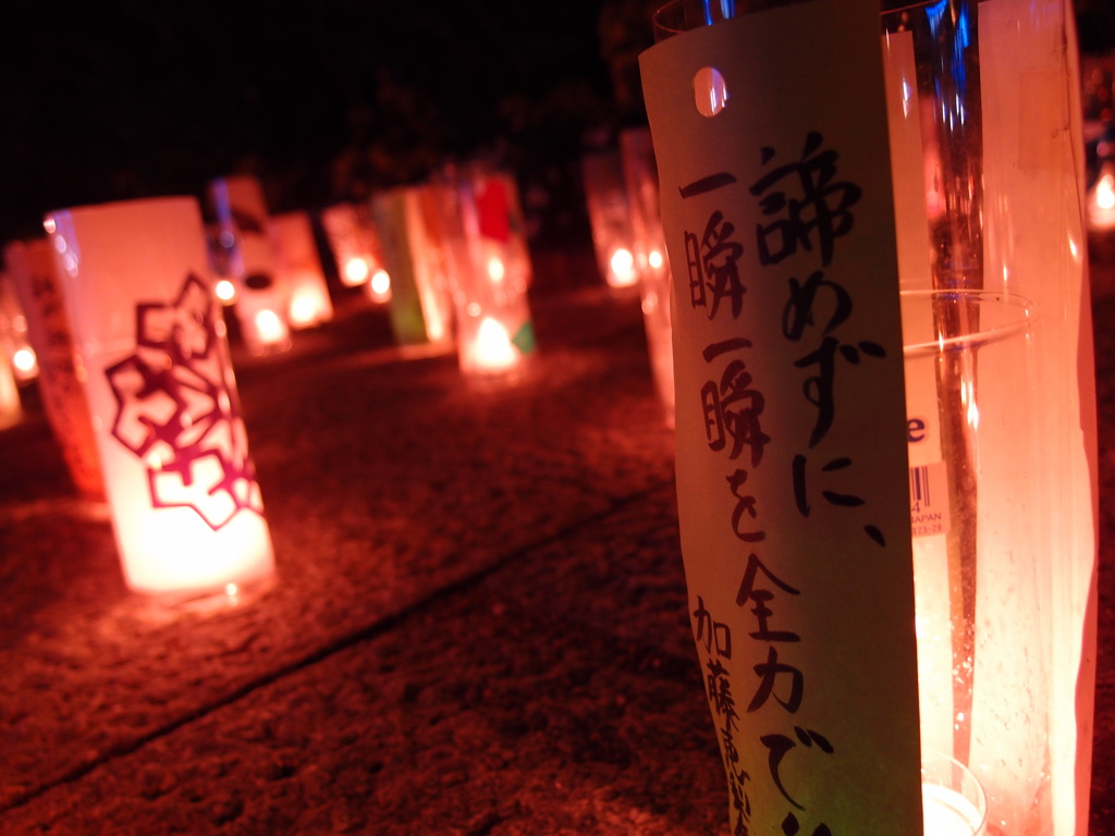 諦めずに・・・