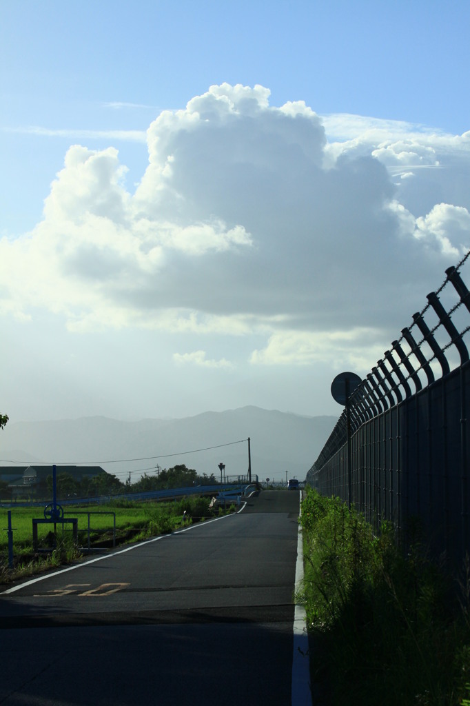 夏雲