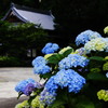 あじさい神社