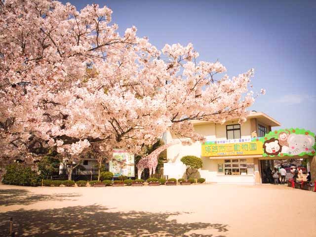 姫路動物園