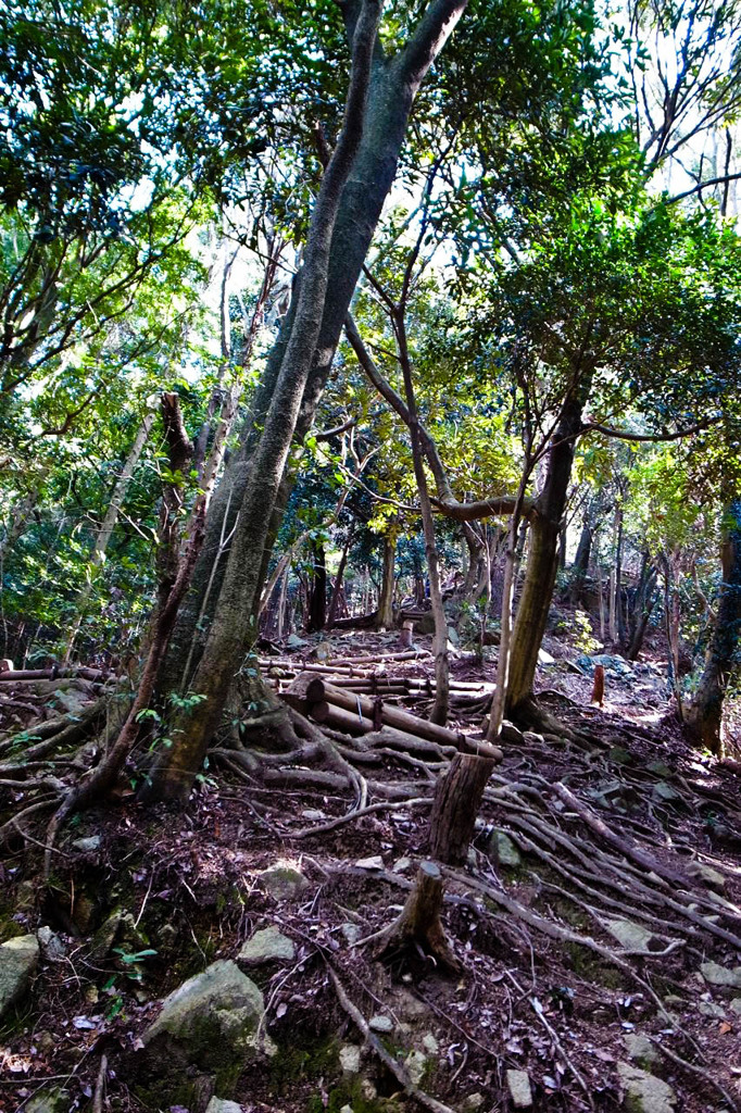 鍋蓋山　登山道