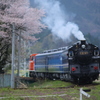 撮り鉄デビュー