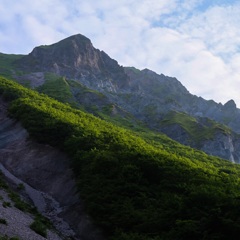 THE SOUTH FACE