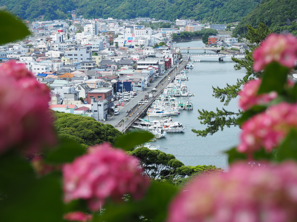 アジサイと港町