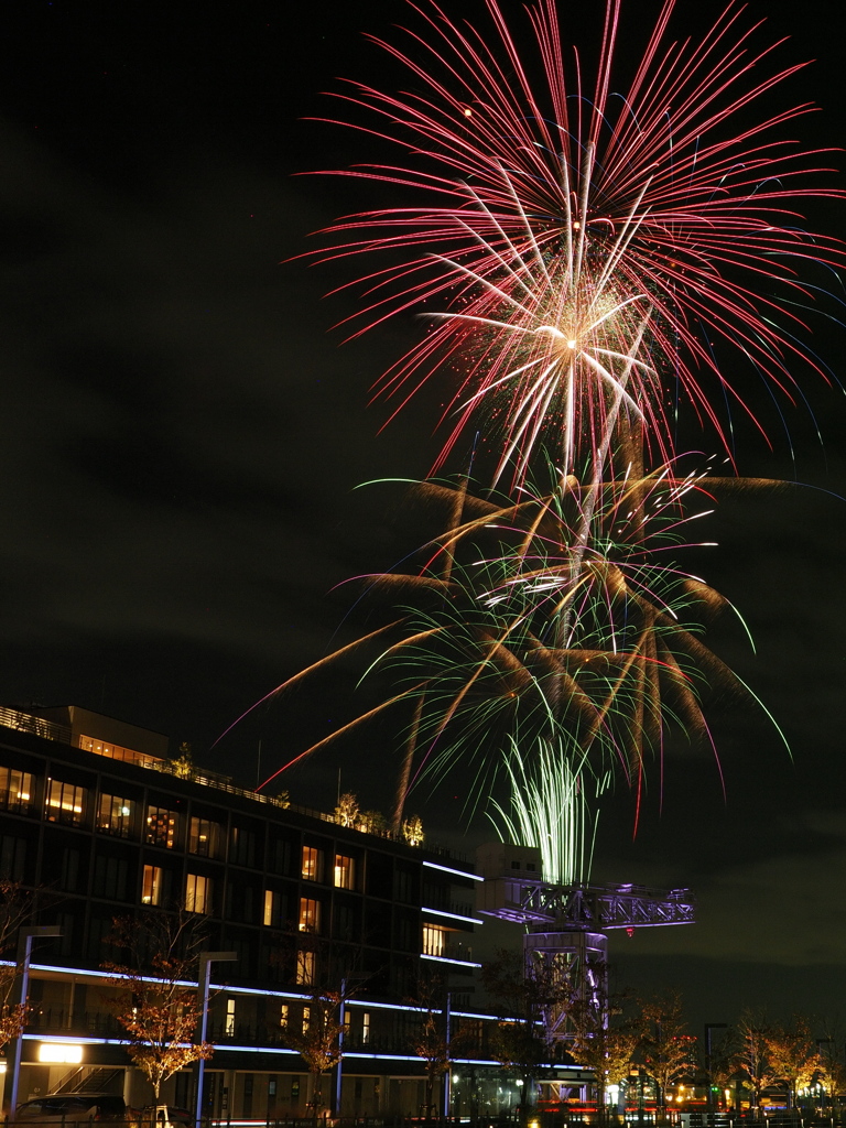 横浜ナイトフラワーズ