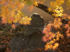 とある岩と紅葉
