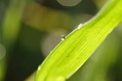 雨のち晴れ