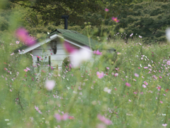 夢の中のコテージ