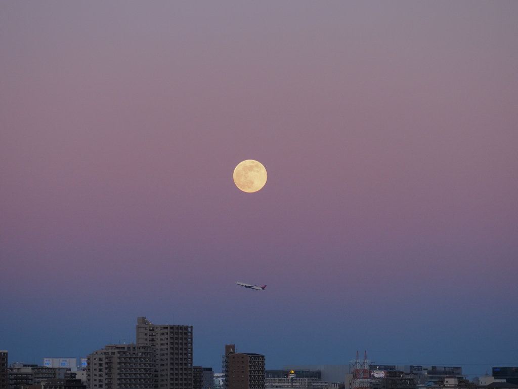 ウルフムーン2026