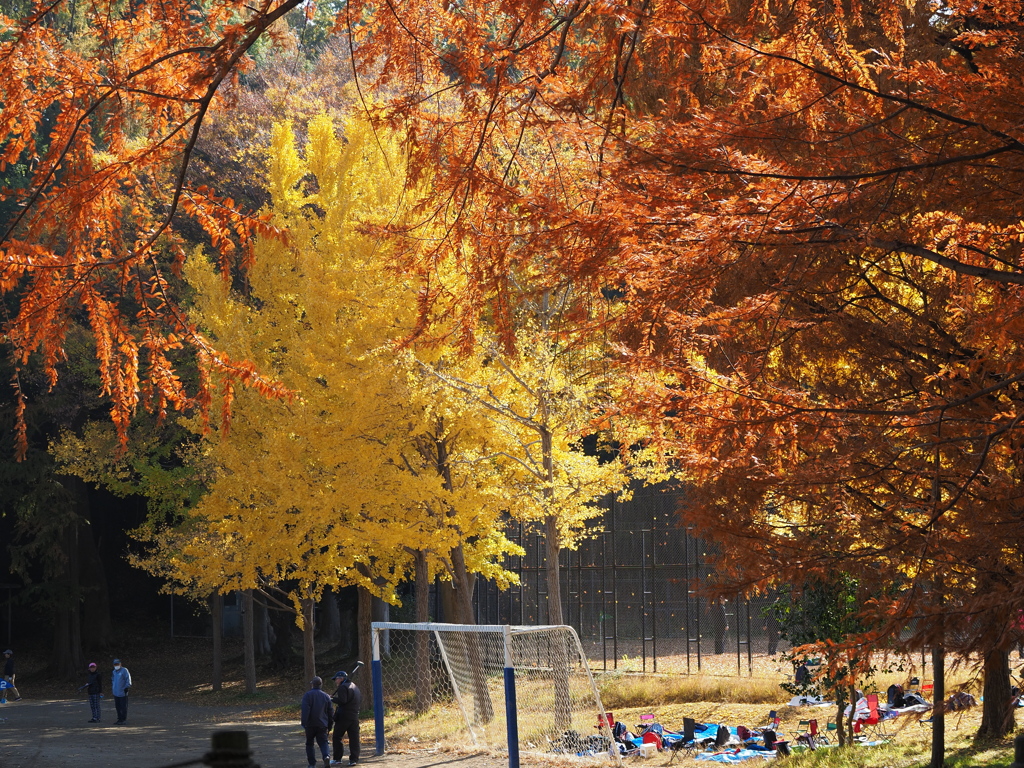 秋晴れの下で_1