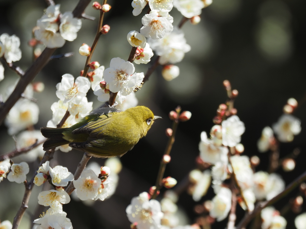 よし、じゃあ次は・・・