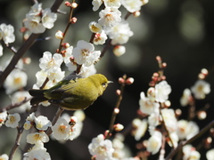 よし、じゃあ次は・・・