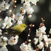 よし、じゃあ次は・・・