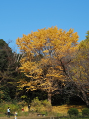 秋晴れの下で_2