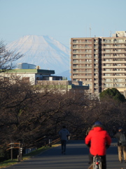 いつもと変わらぬ元日の朝