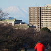いつもと変わらぬ元日の朝
