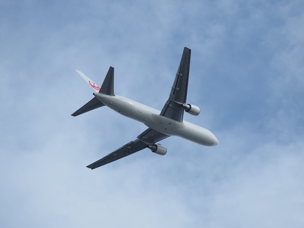 やさしい青空とJAL