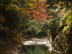 光さす弘文洞跡