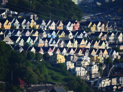 日向岡住宅街の朝