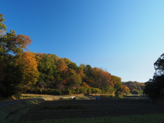 ハマの里山の秋