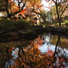 紅葉の雅
