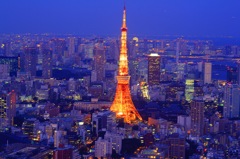 六本木ヒルズから～東京タワー方面～