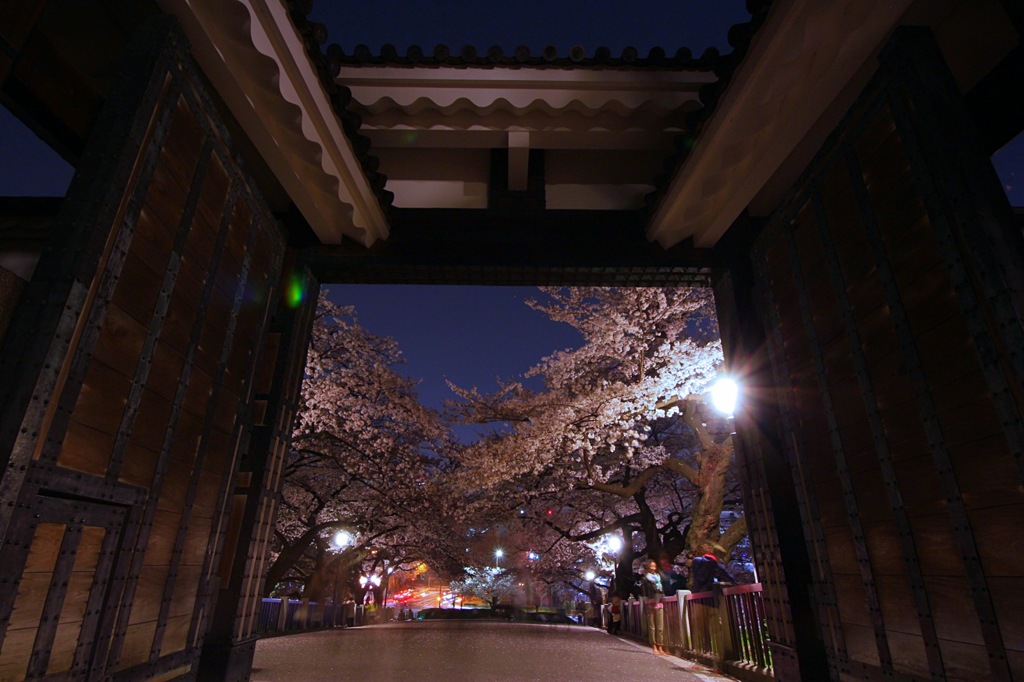 北の丸公園