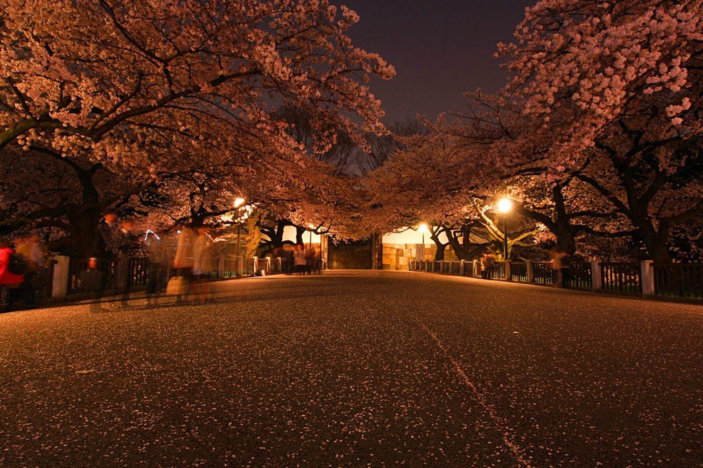 北の丸公園