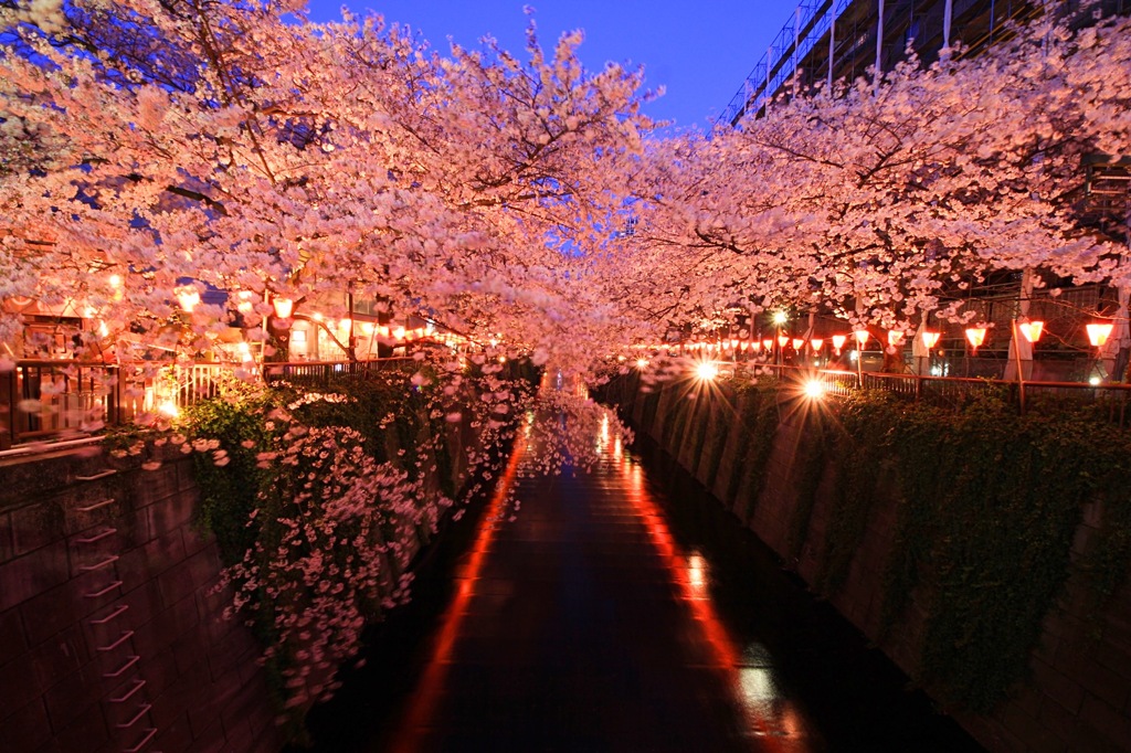 目黒川