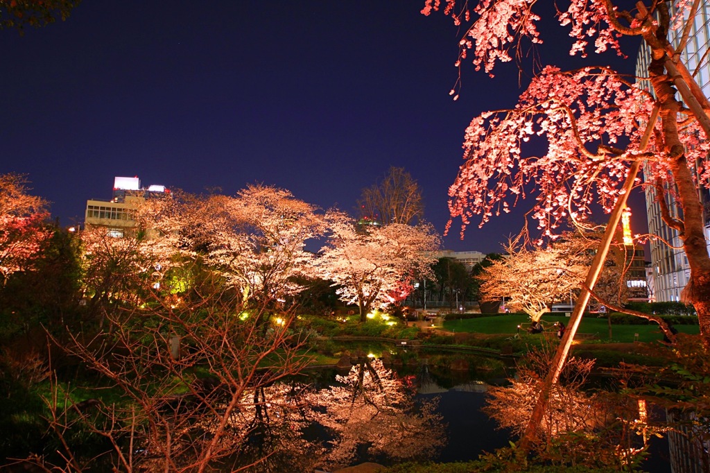 六本木ヒルズ～毛利庭園～