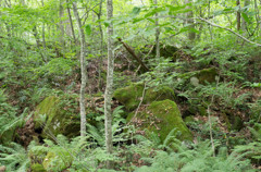 20120713-IMGP2436