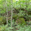 20120713-IMGP2436