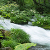 20120714-IMGP2493