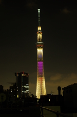 IMGP2894
