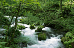 20120714-IMGP2544