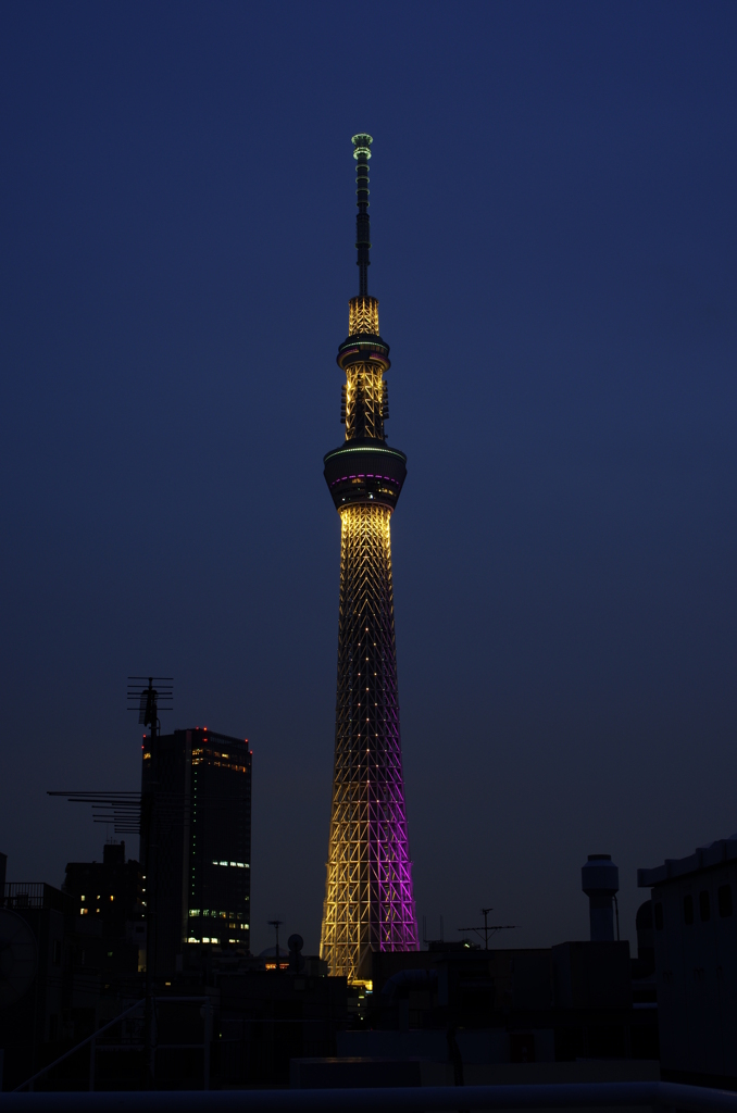 IMGP1940