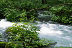 20120714-IMGP2550