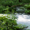 20120714-IMGP2550