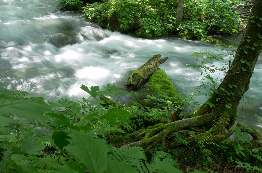 20120714-IMGP2567