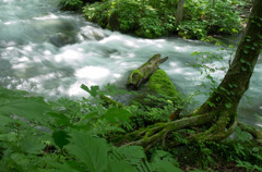 20120714-IMGP2567