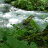 20120714-IMGP2567