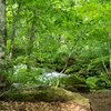 20120713-IMGP2450