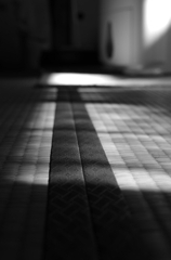 冬の光2