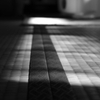 冬の光2