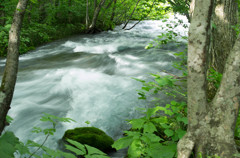 20120714-IMGP2648