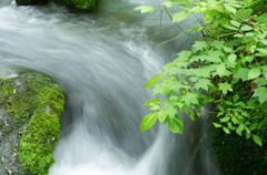 20120714-IMGP2499