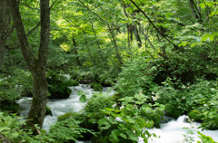 20120714-IMGP2495