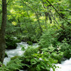 20120714-IMGP2495