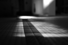 冬の光