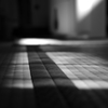 冬の光